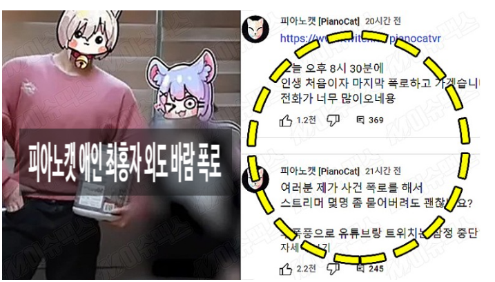 유튜버 피아노캣 애인 여캠 최홍자 다른 BJ 초보원 딜러와 바람 폭로