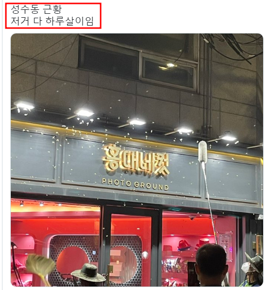 핫플레이스 성지 성수동 근황 대형 하루살이 '동양하루살이' 대량 출몰 목격담