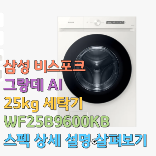 삼성 비스포크 그랑데 AI 25kg 세탁기 WF25B9600KB 스펙 상세설명 살펴보기
