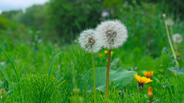 [신앙간증문]크리스천의 교회 생활 — 예배에서 굳게 닫혔던 입을 열다