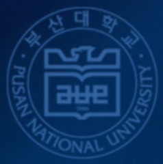 부산대 맞춤법 검사기 - 사이트