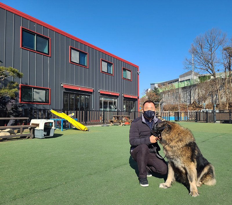 이웅종 교수가 들려주는 '맹견 책임보험' 의무화와 'KCMC 교육인증제' 도입의 필요성