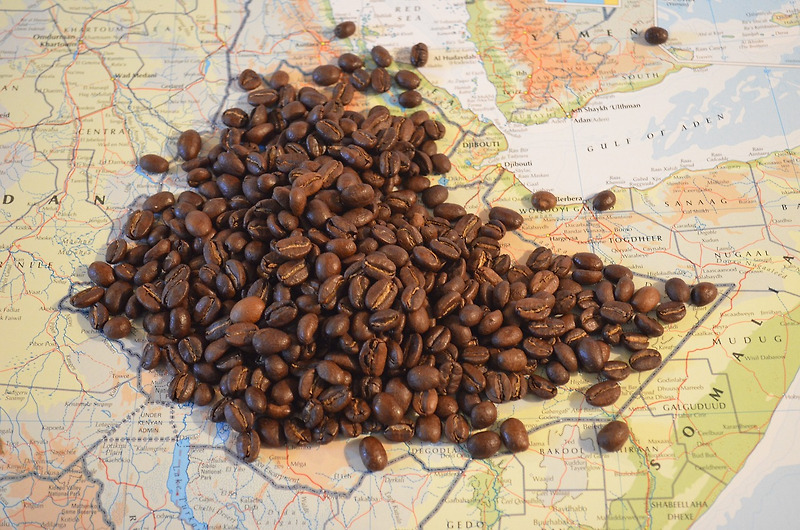 커피 수확부터 커피 가공과 건조까지의 과정