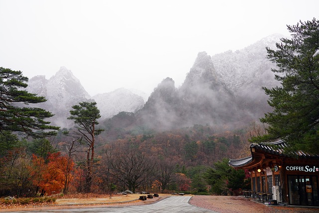 한국의 겨울 시작, '입동'에 대한 이야기