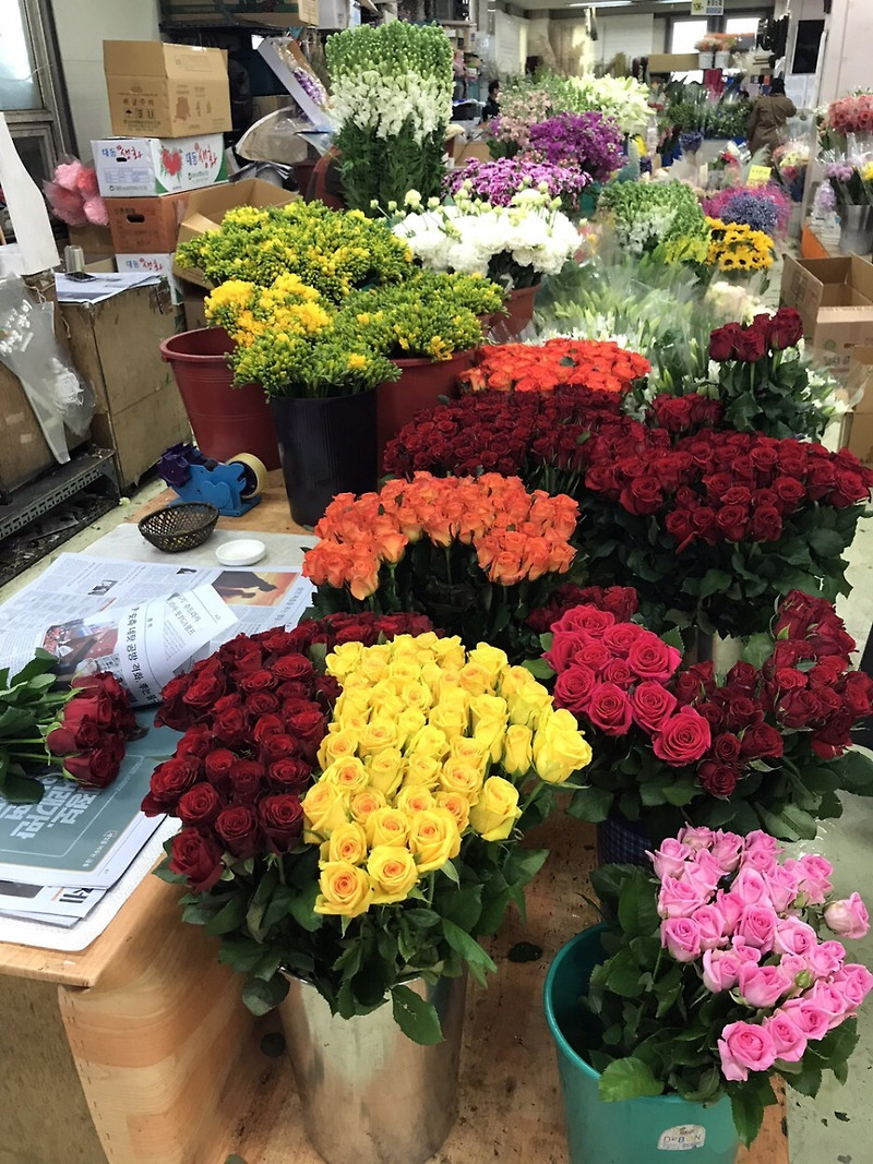 다채로운 꽃으로 가득한 광주원예농협화훼공판장 방문기