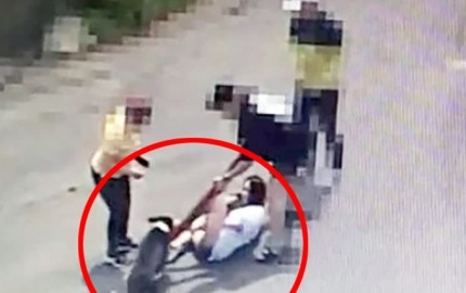 인천 개물림 사고 영상 쓰러진 강아지 구름이 공격 왜? 미추홀구 숭의동 수봉공원 목줄 입마개 안찬 개 주인 방치한 이유 (+CCTV)