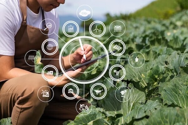 인공지능과 농업의 관계