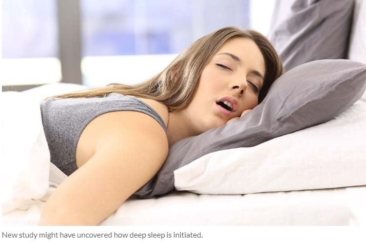 [모두의 고민 숙면] 잠 잘 잤다는 증거들...또 그 과정들 Determining Sleep Quality: How to Know if You Slept Well