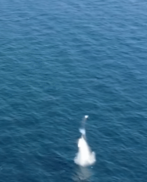 잠수함발사탄도미사일(SLBM) 발사시험 성공...세계 7번째(영상)