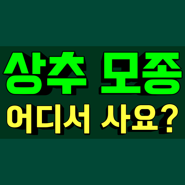 가평 모종 파는곳 종묘사 추천