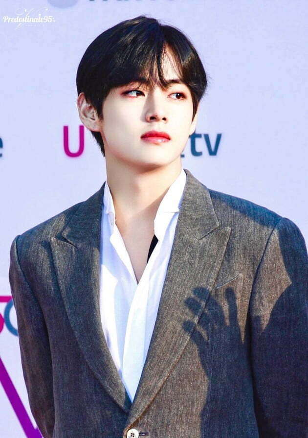 방탄소년단 뷔 나이 학력 키 고향 몸무게 혈액형 가족 결혼 여자친구 제니