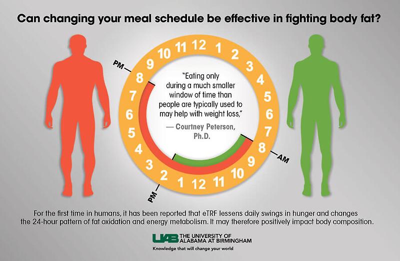 [시간 제한 요법] 이 시간 안에만 식사하면 살 찌는 것 막을 수 있다 Time-restricted eating: Does it work?