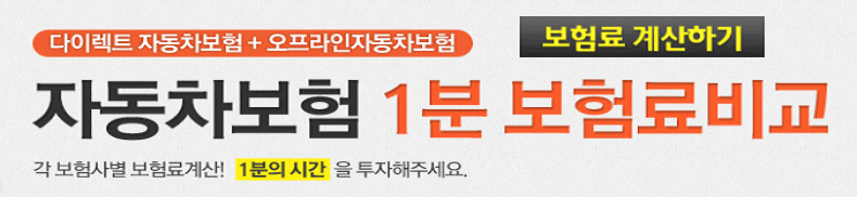 효율적으로 준비할려면 꼭봐야할 자동차보험료조회 홈페이지