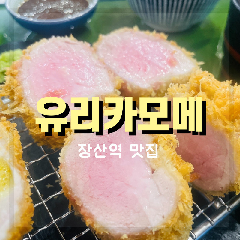 [부산 해운대 좌동] 장산역맛집 유리카모메 돈카츠와 우동이 맛있는 맛집