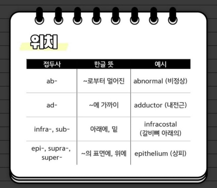 의학용어 접두사 1