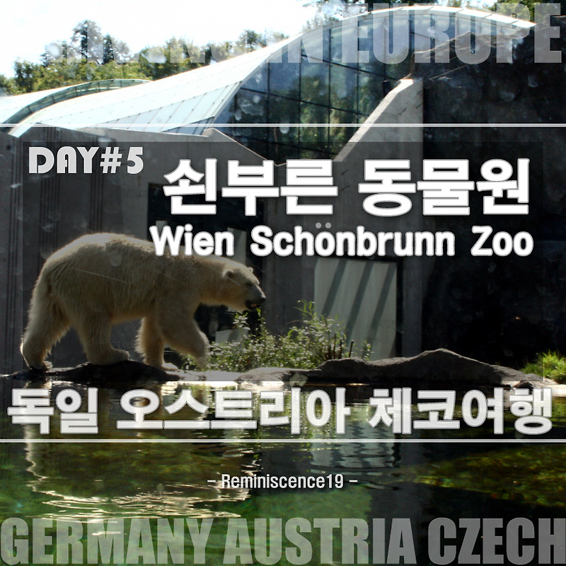 유럽 여행 - 오스트리아 빈, 쇤부른 동물원 (Schönbrunn Zoo) - 유럽 렌터카 자동차 여행 - Day 5