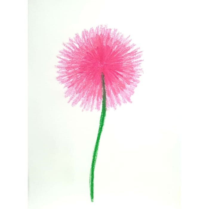 Pink Firework 분홍 불꽃 일러스트 일러스트레이션 그림 드로잉 크레파스화 그리기 만개하는 꽃