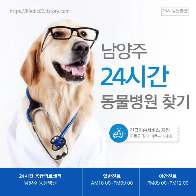 남양주 24시간 동물병원 근처 야간 일요일 강아지 병원 58곳