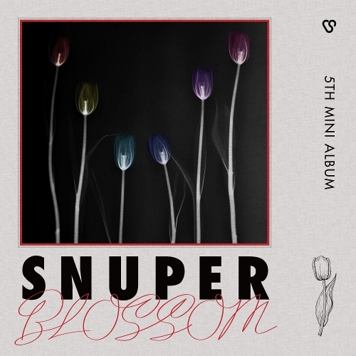스누퍼 (SNUPER) Blossom (Intro) 듣기/가사/앨범/유튜브/뮤비/반복재생/작곡작사