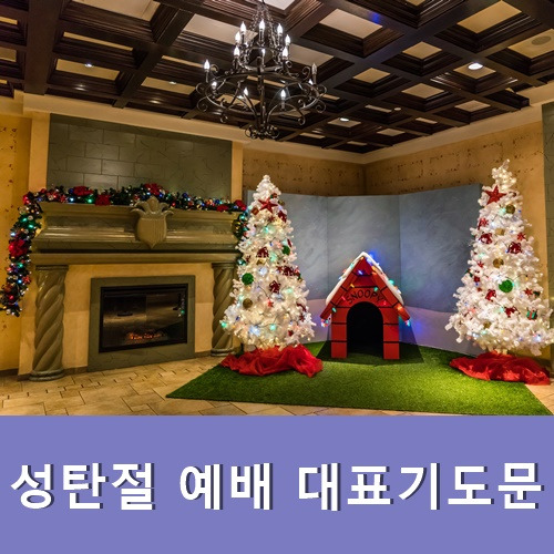 성탄절 예배 대표기도문 12월성탄절 기도문