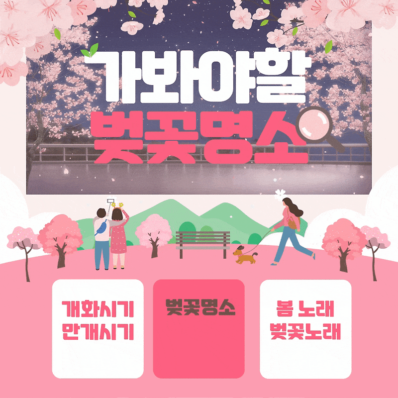 2024 전국 벚꽃 개화 시기 와 전국 벚꽃 명소 축제 기간