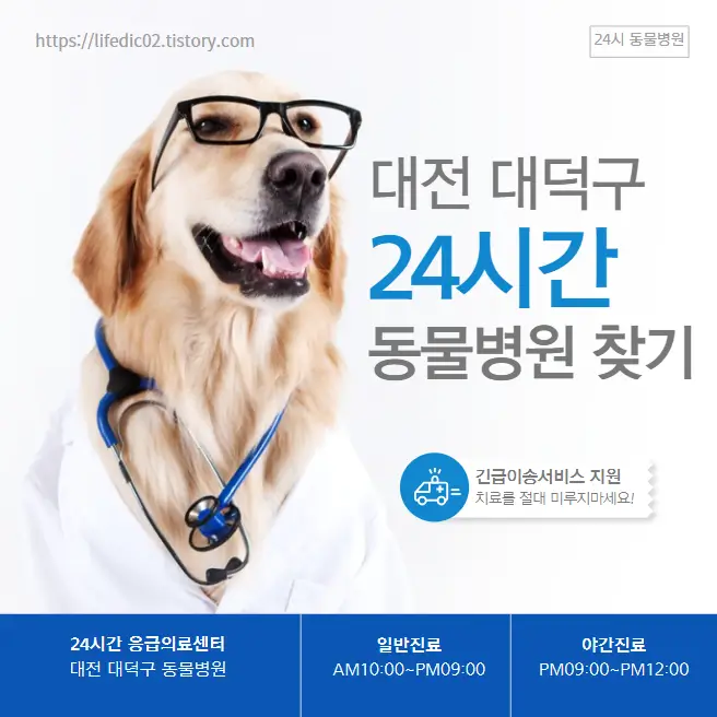 대전 대덕구 24시간 동물병원 근처 야간 일요일 강아지 병원 13곳