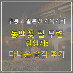 [동백꽃 필 무렵 촬영지] 포항 까멜리아구룡포 일본인 가옥거리 다녀온 솔직 후기