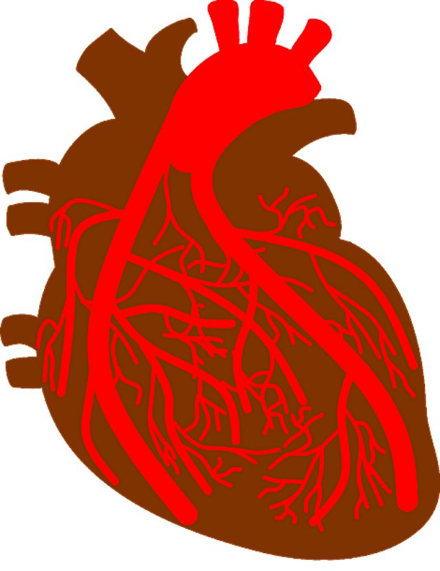 숨이 가픈 심부전으로 보는 관련 질환과 예방