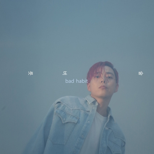 지소울 (GSoul) (김지현) 술버릇 (bad habit) 듣기/가사/앨범/유튜브/뮤비/반복재생/작곡작사