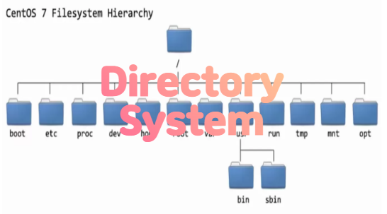 Kali Linux Directory System [ 1 ]