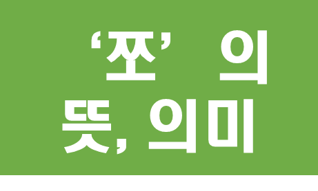 쪼의 뜻, 의미, 유래(어원), 사용처(ex. 배우의 쪼, 수영의 쪼, 개그맨의 쪼)