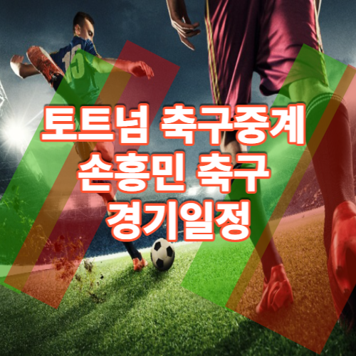 토트넘 축구중계 손흥민 축구 경기일정 프리미엄 챔피언스리그 중계