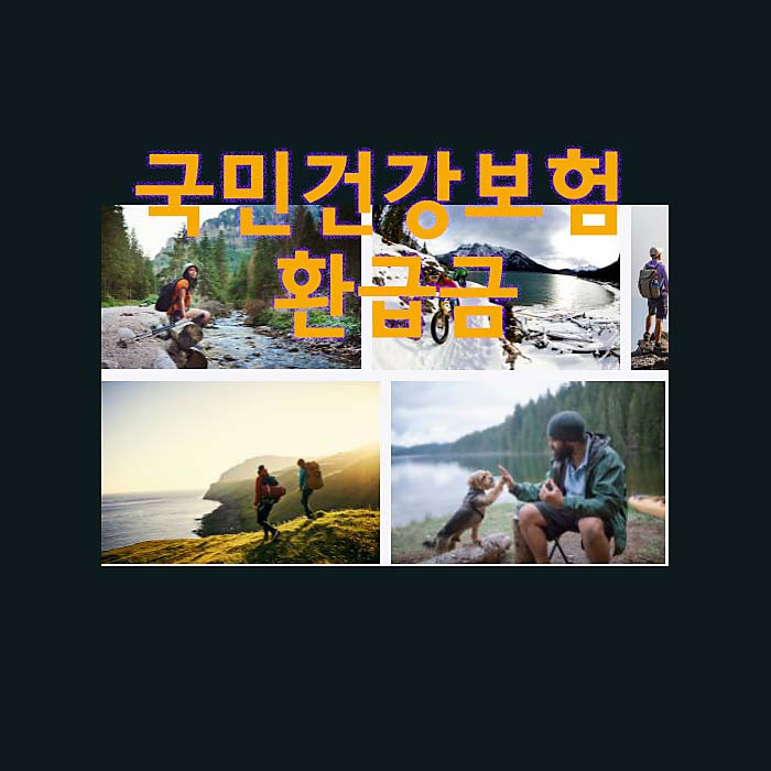 국민건강보험 환급금 조회 신청