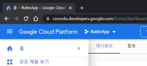 [Flutter] Google Map API 사용하기