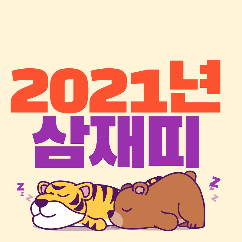 2021년 삼재띠