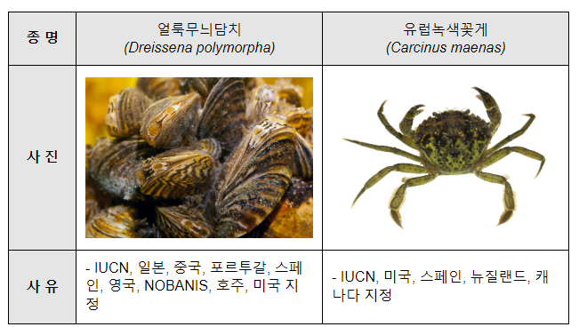 생태계교란 생물 1종, 유입주의 생물 150종 신규 지정