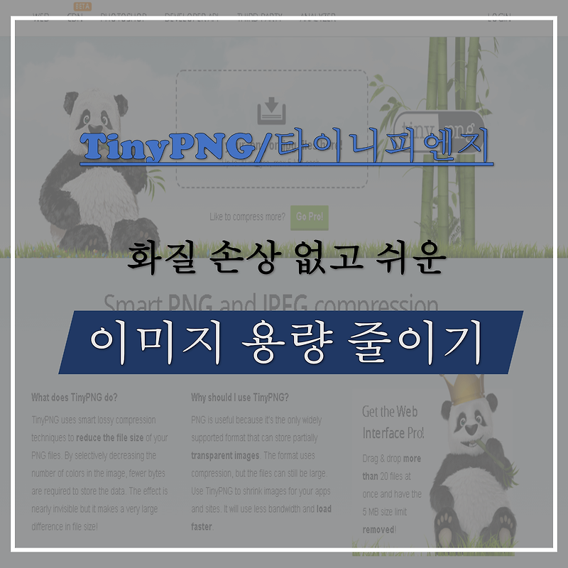 TinyPNG [타이니피엔지] - 화질 손상없이 사진 용량 줄이기