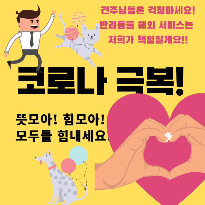 강아지해외운송 반려동물해외운송 필리핀강아지출국 강아지검역 고양이검역 고양이출국 강아지해외출국 고양이해외출국 대형견필리핀 강아지코로나출국 고양이코로나출국 강아지입국 고..
