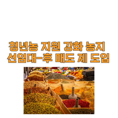 청년농 지원 강화 농지 선임대-후 매도 제 도입
