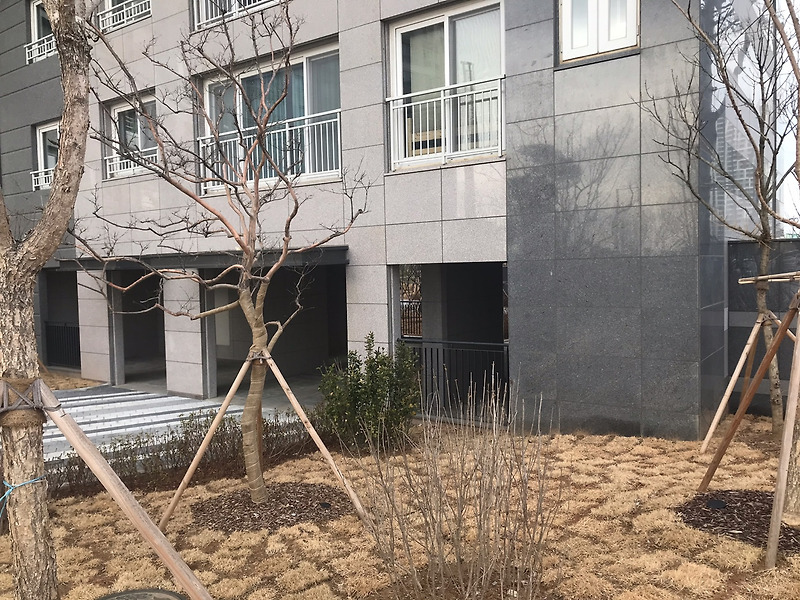 부동산 땅 투기란? 뜻! 투자와의 차이점