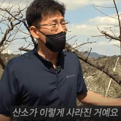 궁금한 이야기 y 감쪽같이 사라진 할머니 산소