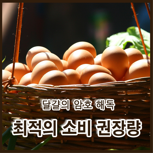 달걀의 암호 해독, 최적의 소비 권장량