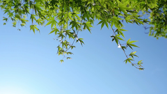 [회개 하라]천국에 관한 주제별 성경구절 — 성경에 기록된 천국의 비밀