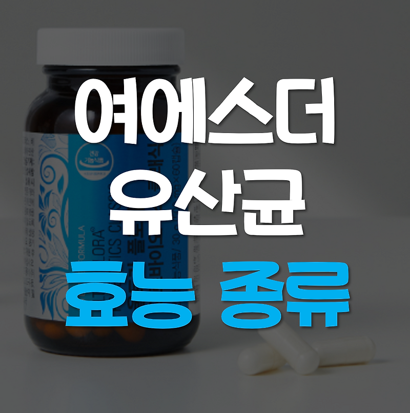 여에스더 유산균 효능 종류