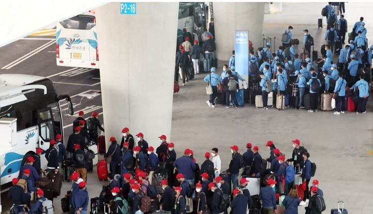 사업장별 고용한도 2배 확대...내년 외국인력 12만명 이상