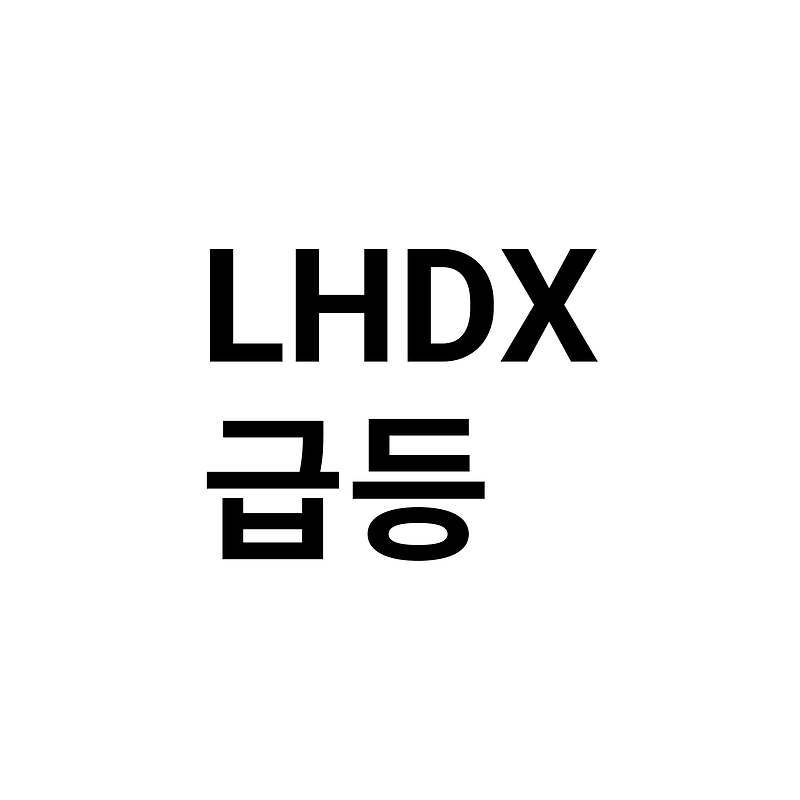 LHDX 전일 264.29% 급상승, 상승이유 feat.뉴스