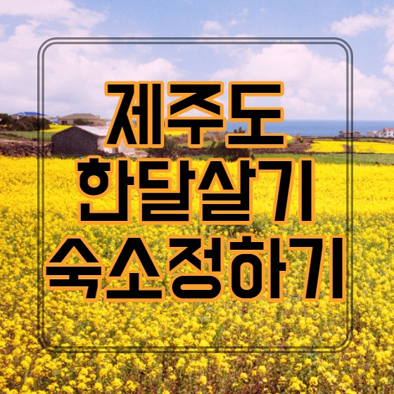 제주도 한달살기 숙소 가격 비교 예약 사이트 추천 best3