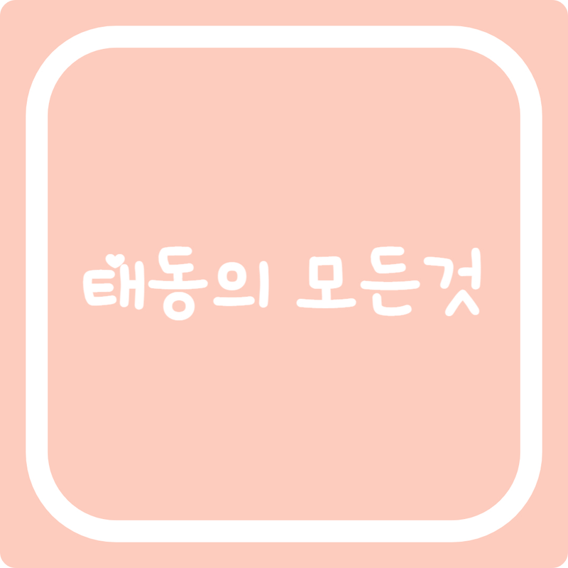 [출산로드 vol.13] 임산부 태동 총 정리 (feat. 태동 시기 & 검사)