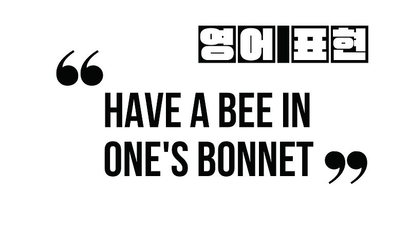 (알아 두면 유용한 표현) have a bee in one's bonnet