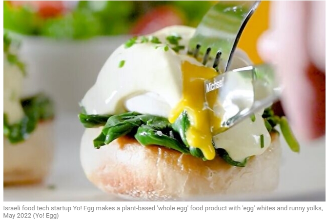 계란도 비건 열풍... 이스라엘 스타트업, 세계 최초 식물성 달걀 개발 성공  VIDEO: World’s first’ plant-based sunny-side up eggs served by Israeli food tech startup